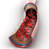 Complex de acid alfa lipoic, cu biotina, Life Care®